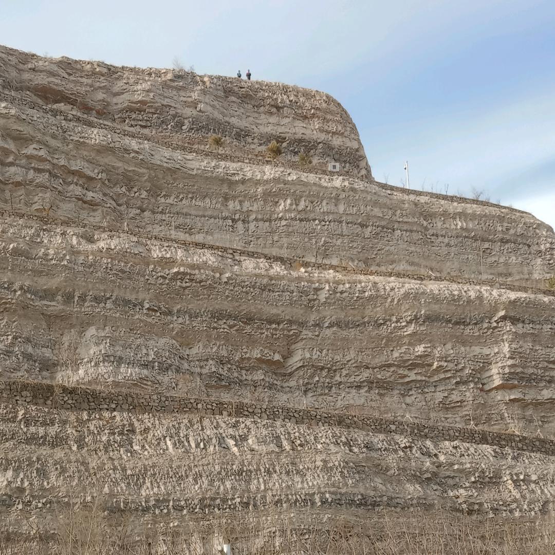 猴子头像好友坤坤爆的照片荒野号置顶视频