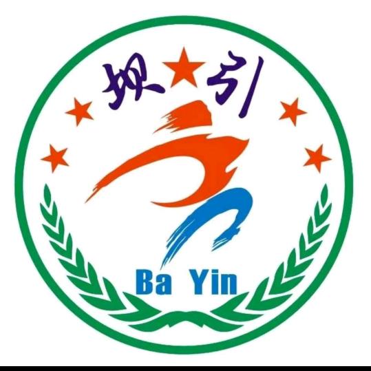 坝引田园杯