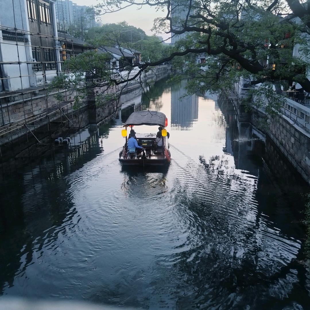傅小新
