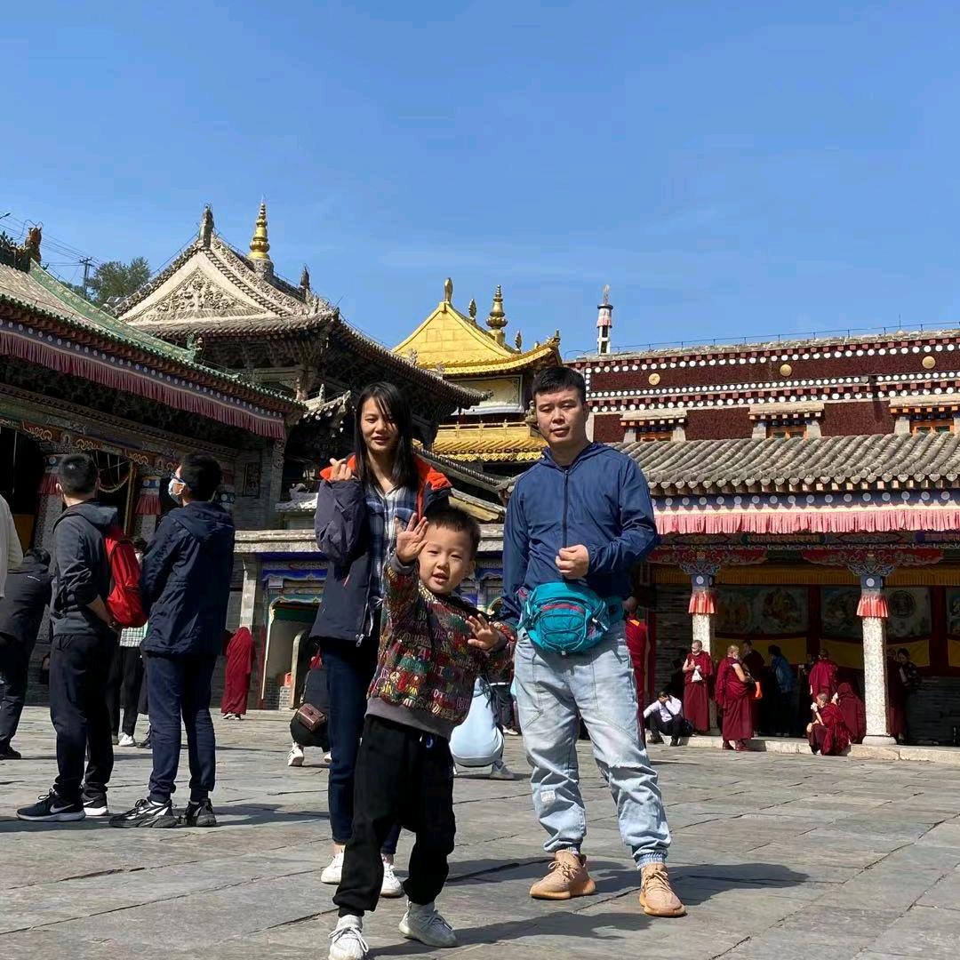 鱼会飞