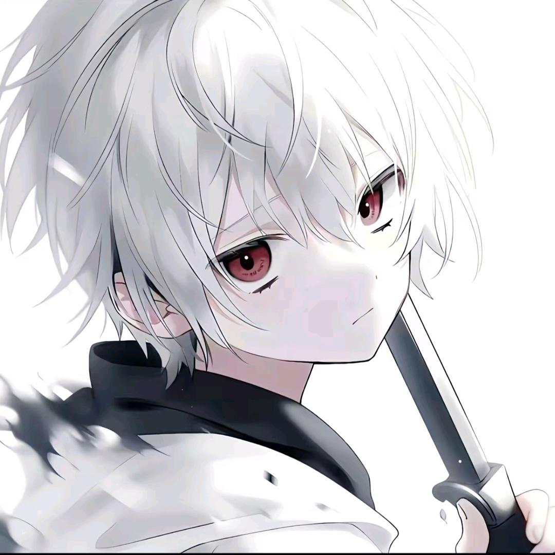 小迪