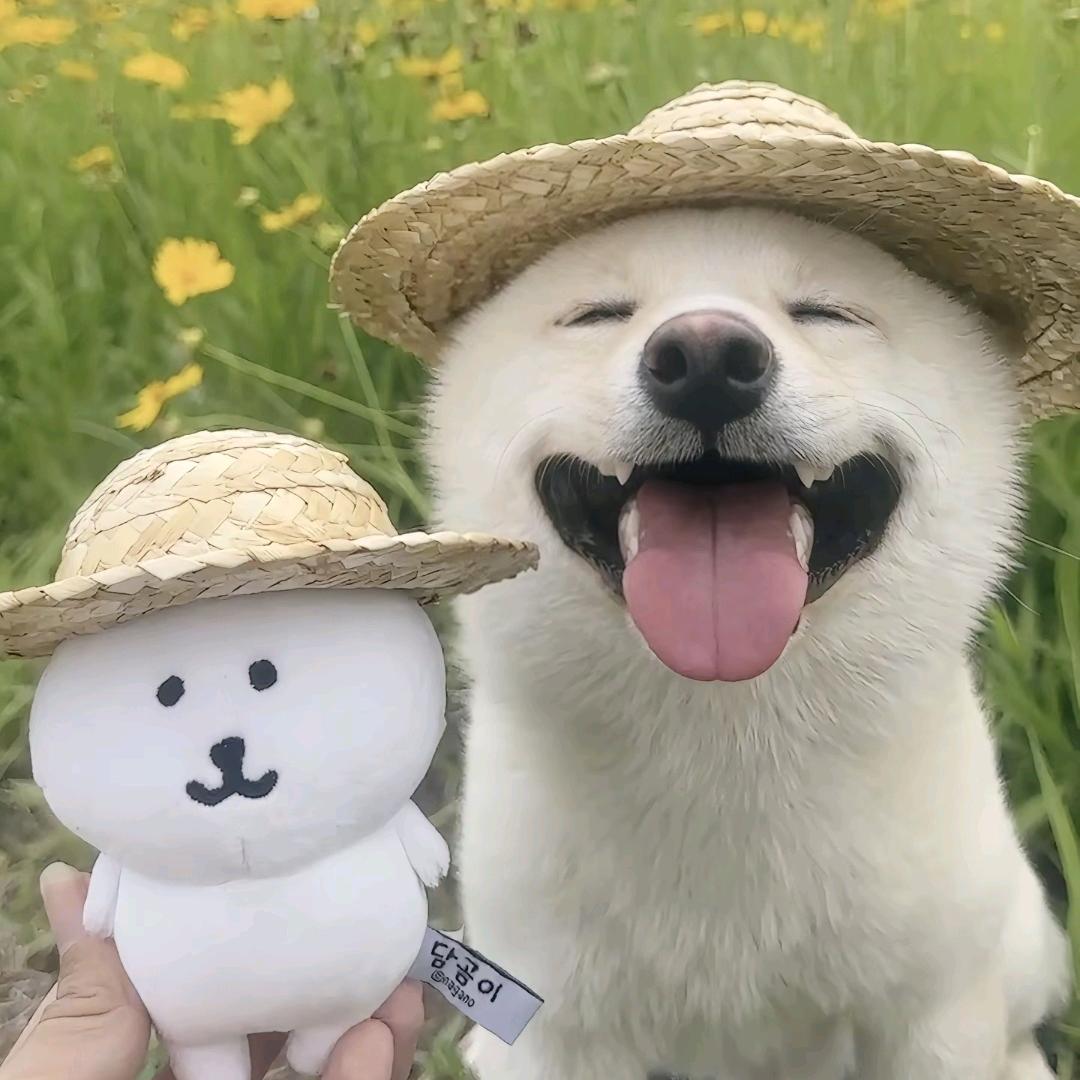 开心芝士汉堡