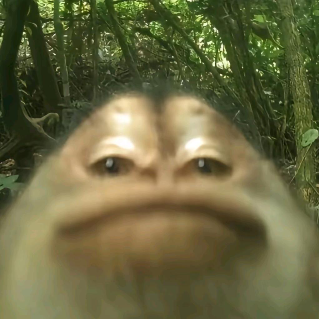 _新的晴