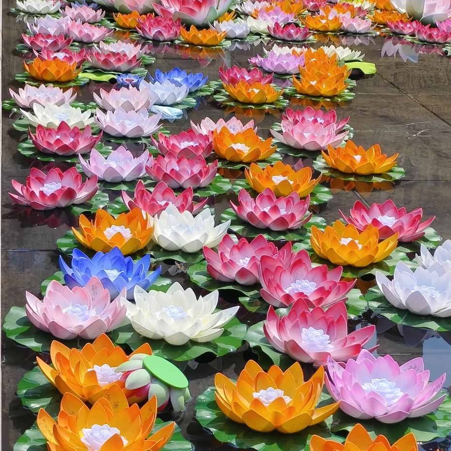 随遇而安