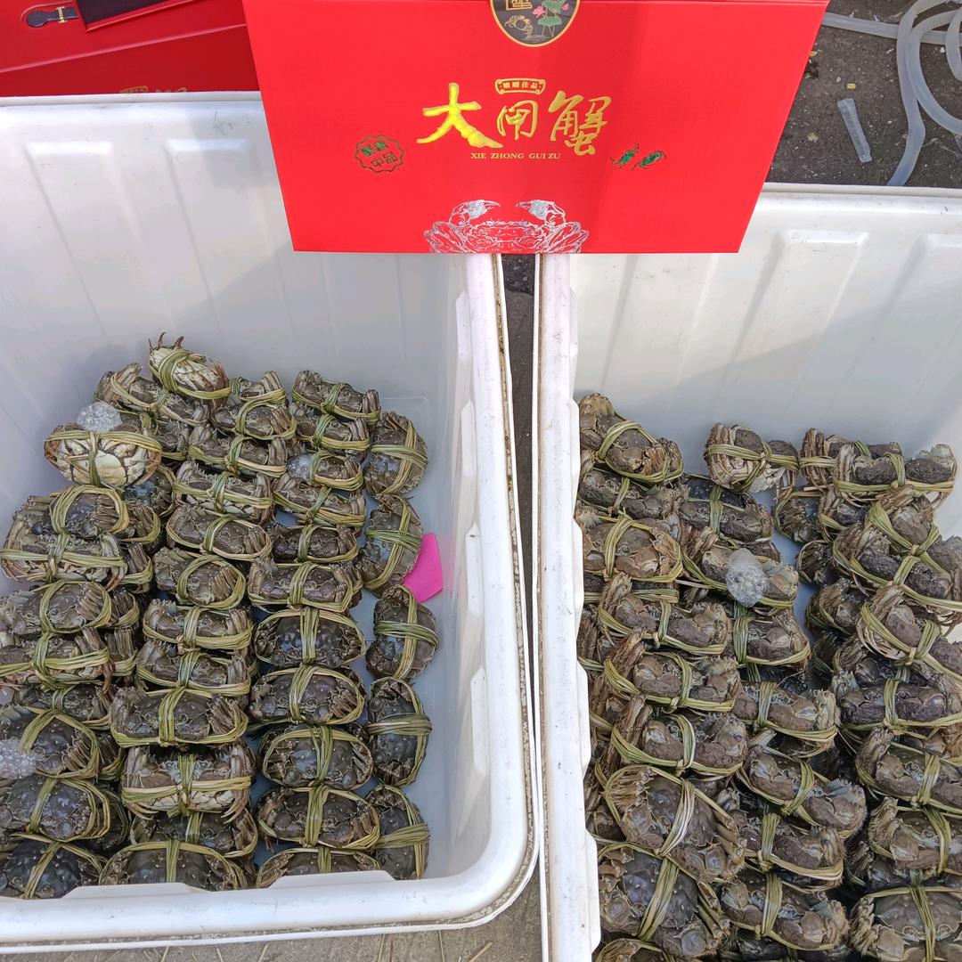 云炫牛羊肉大闸蟹鱼元店兴化