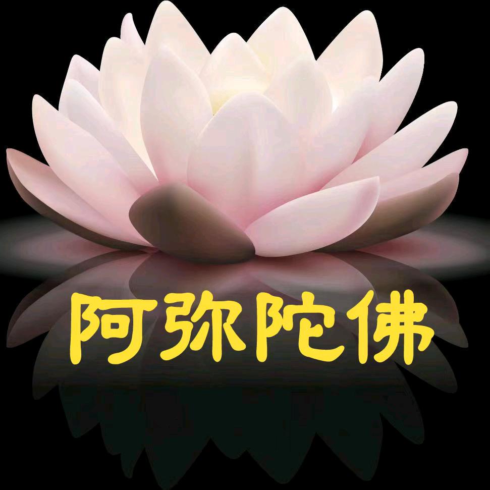 淨土妙音