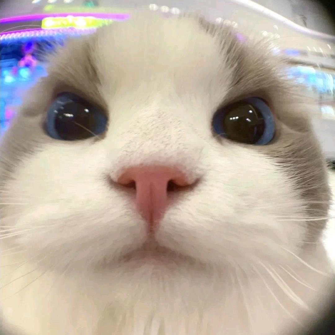 用户3088382758073