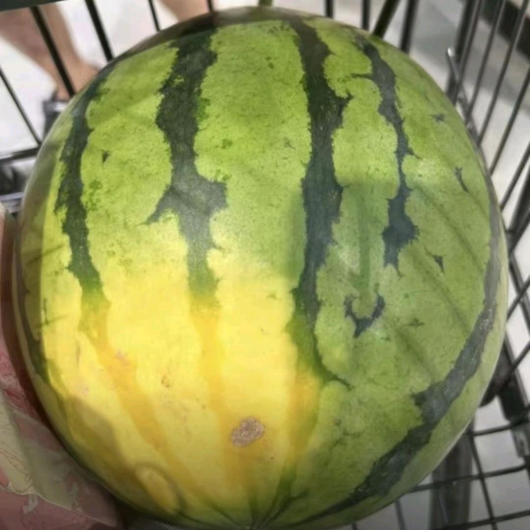 西瓜太郎