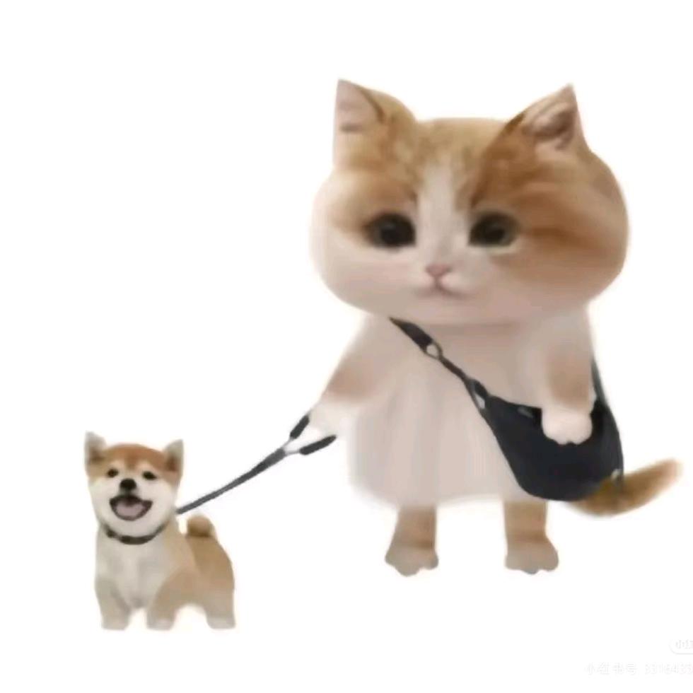 ⁺⊹ꉂ  ᳐˶ᵒ ᵕ ˂˶  ᳐ฅ໑ ₊