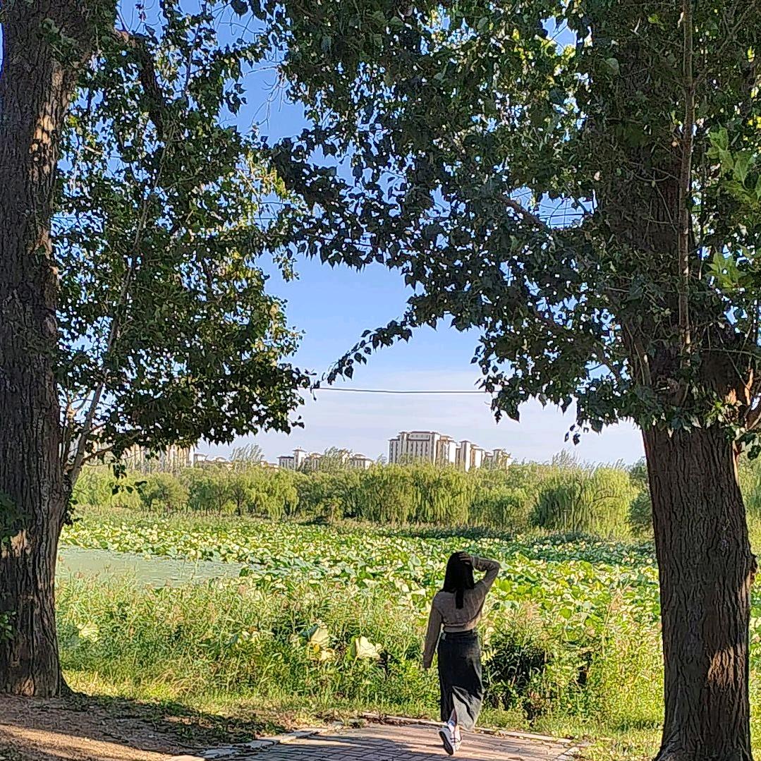 晴天儿
