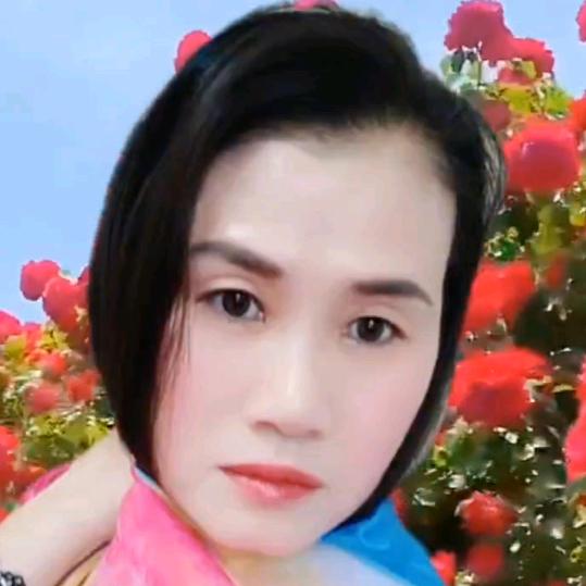 雨皃
