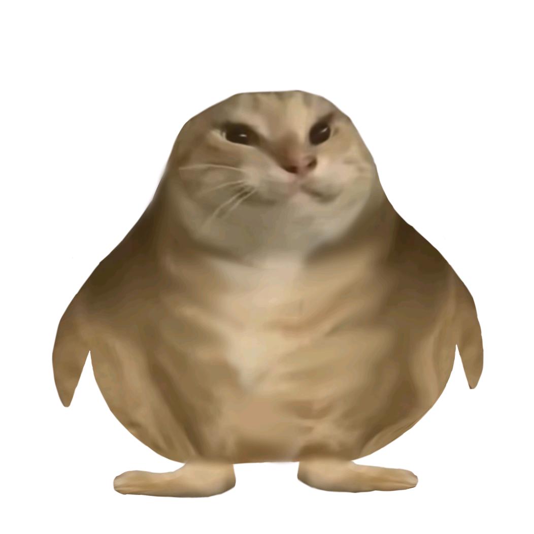 十一