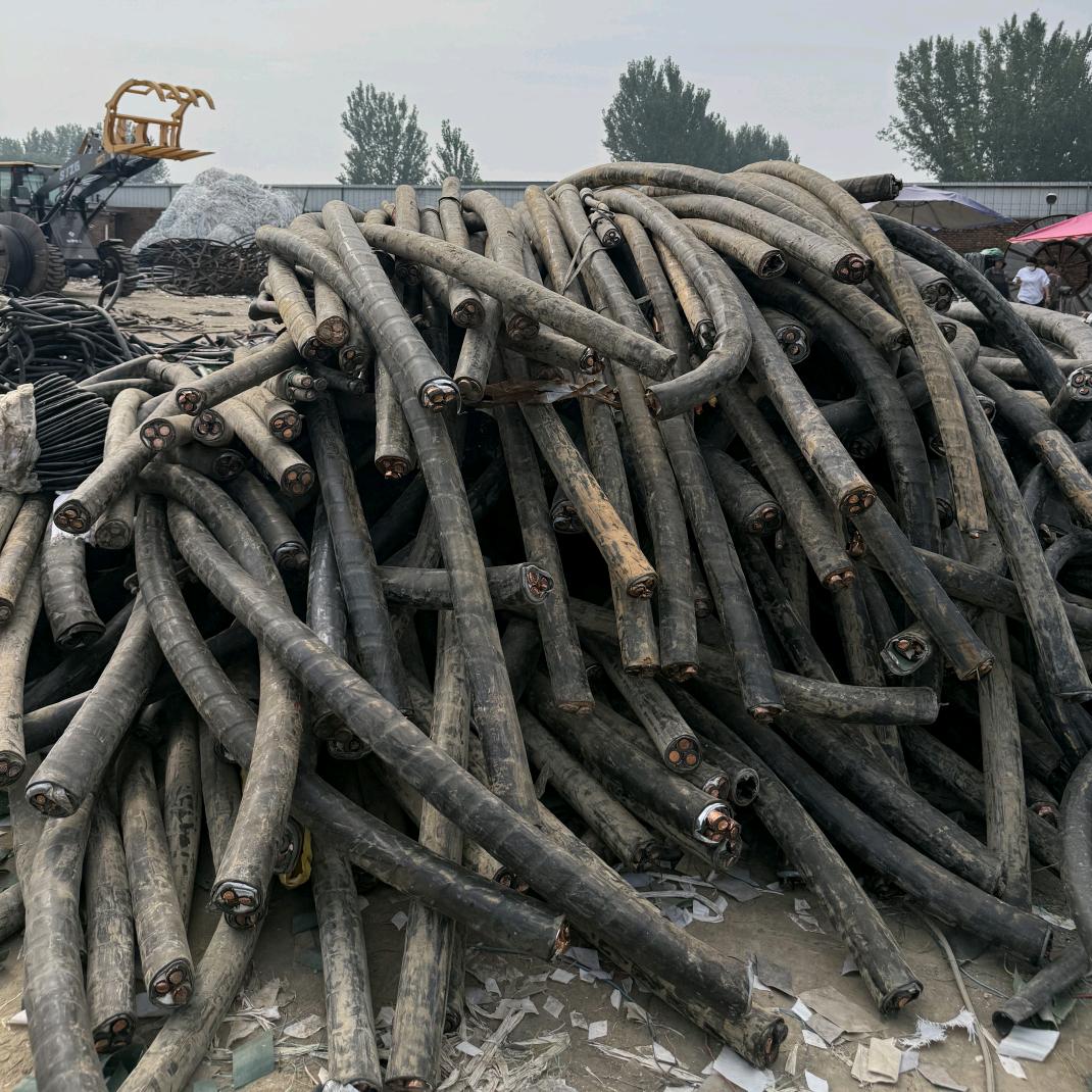 专业回收电缆阳妹儿