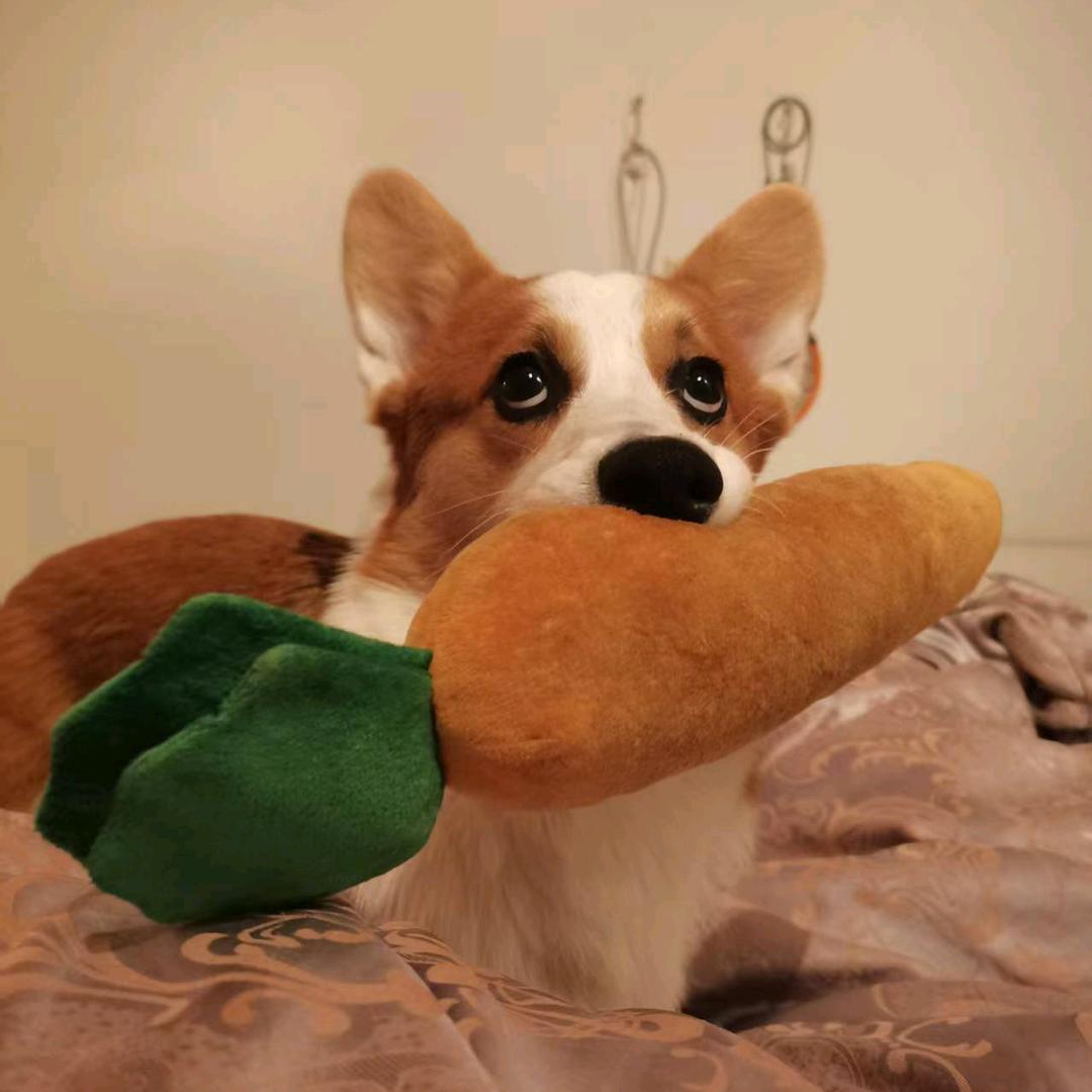 Lucky（挣钱中）