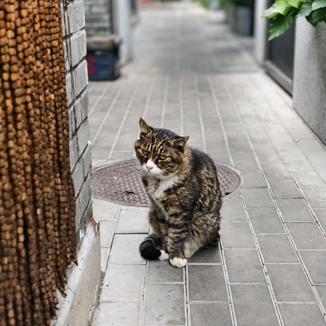 帅气小孩纸
