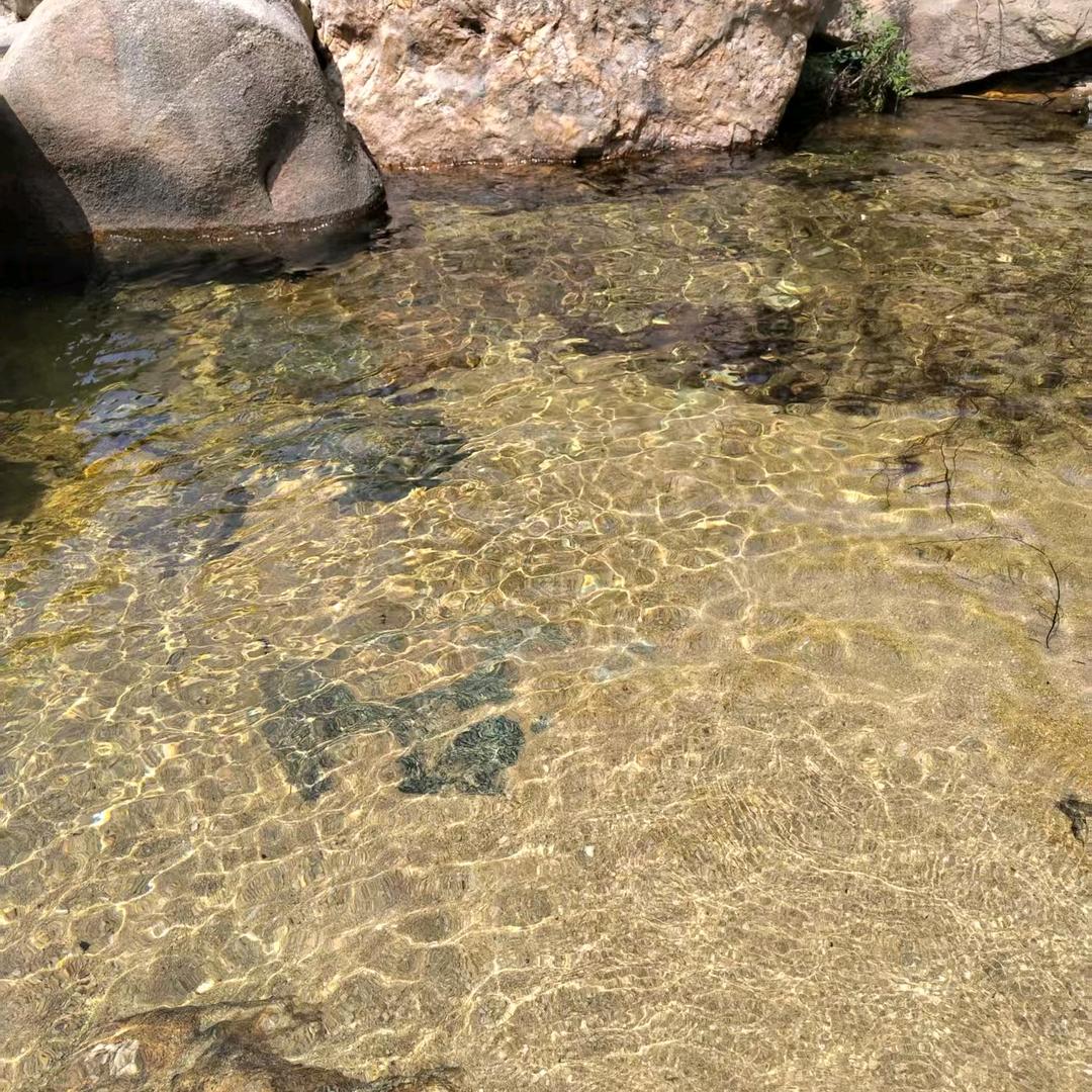 君在月下醉