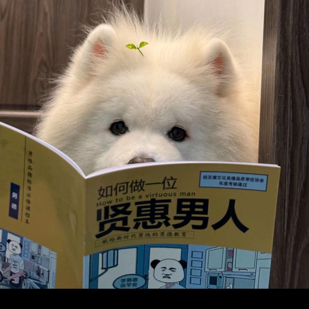 清酒