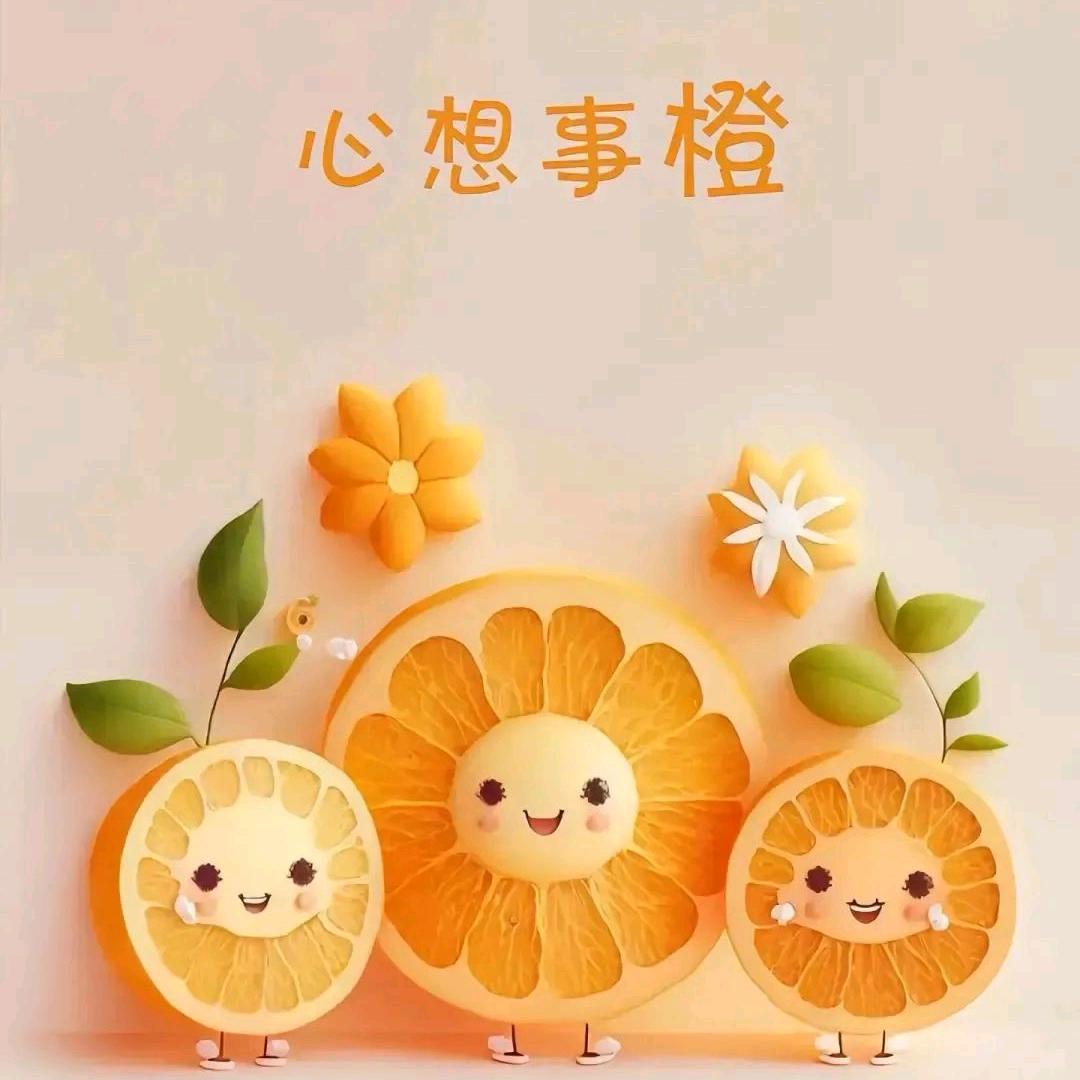 足力健小张