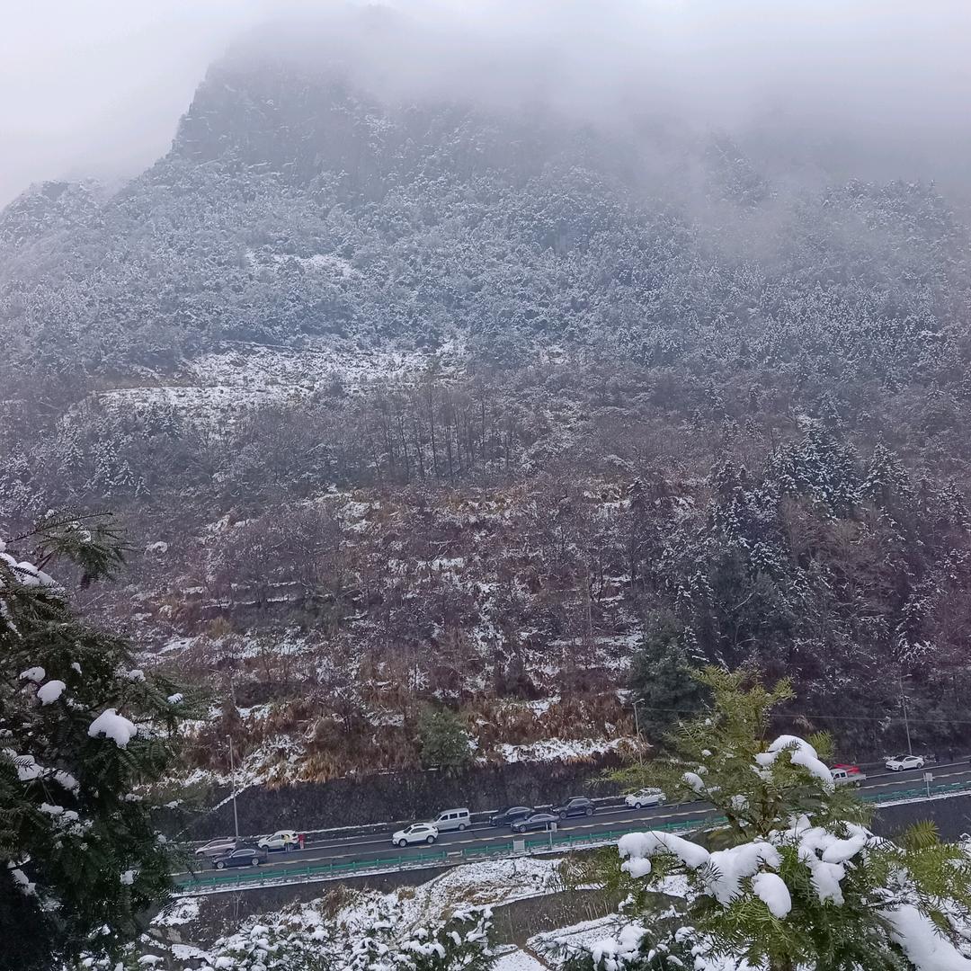 前齐草原狼1760715568