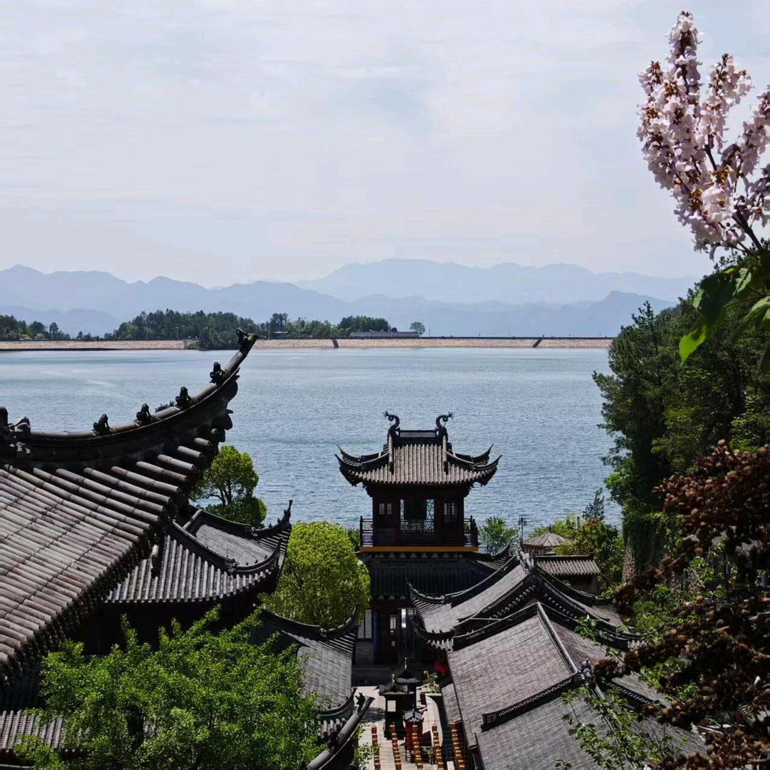 花草意象