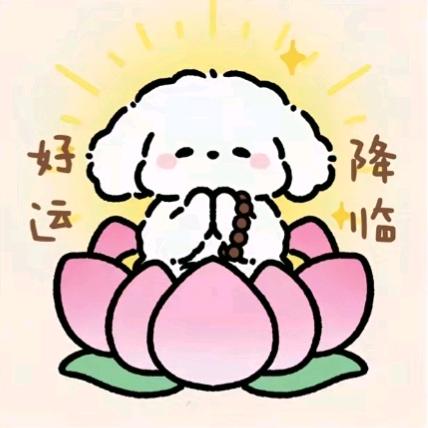 潘潘今天吃点啥～