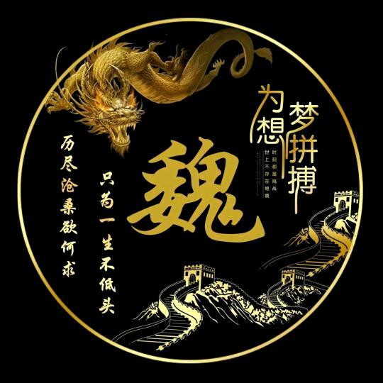 魏᭄ℯ⃝ღ᭄无期  菰海