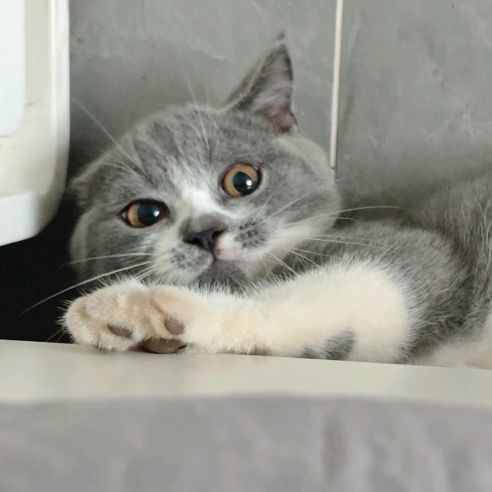 开开心心😘哈哈哈