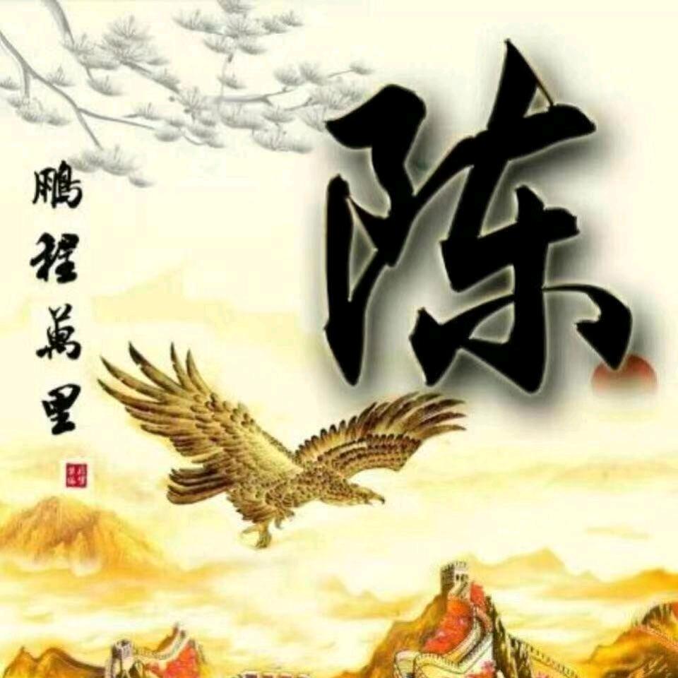 陈晨得意