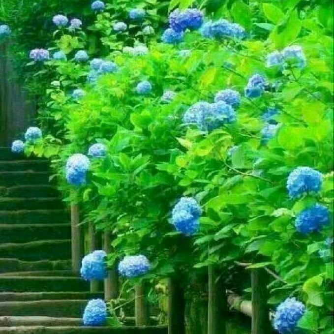 忘记过去，看向未来