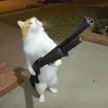 墨熙