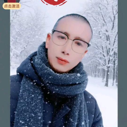冰封寒梅