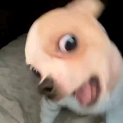 EE.