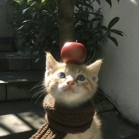 爱骑摩托的山顶洞人🦄