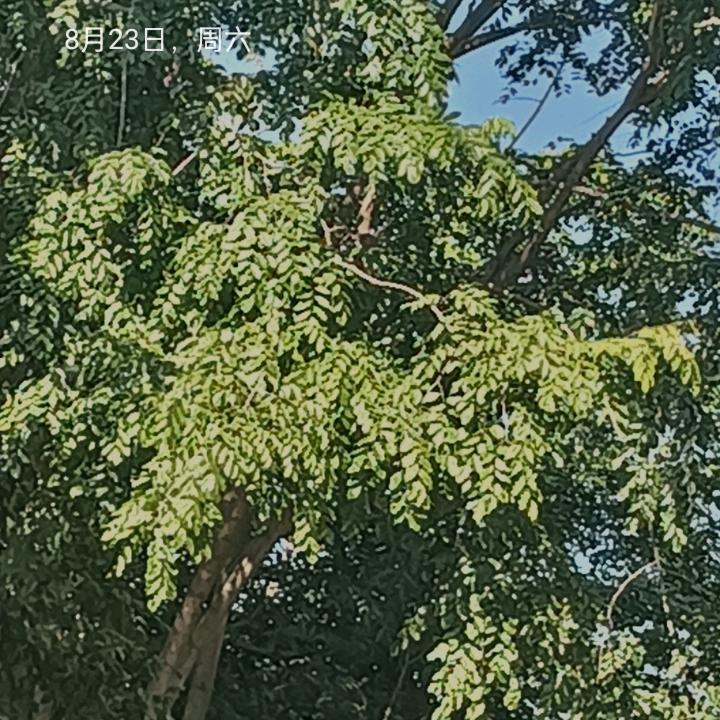 难过