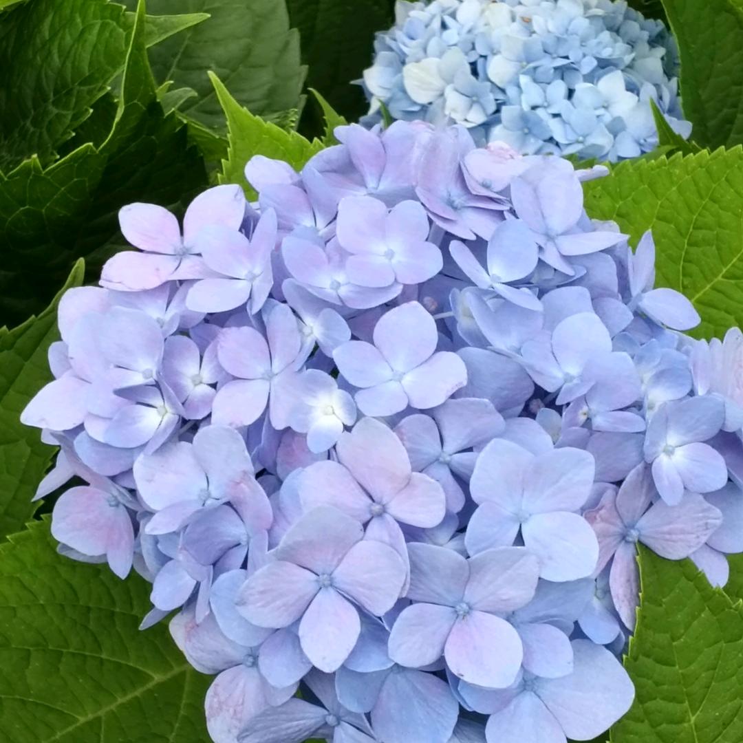 👄爱宝贝🌸开心生活↑