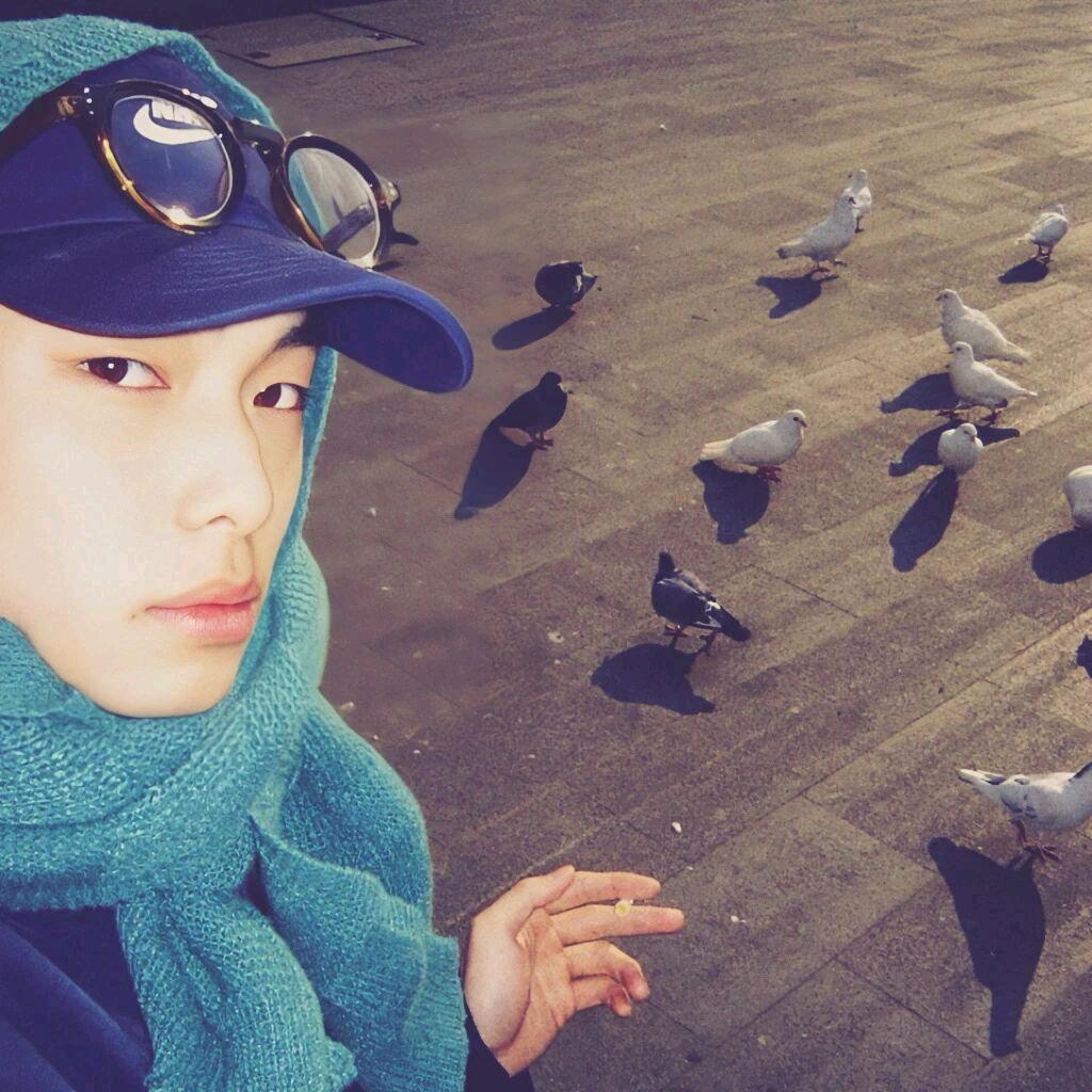 桔梗