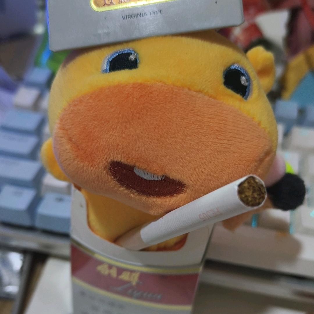 鱿鱼不忧郁（无畏契约手游）