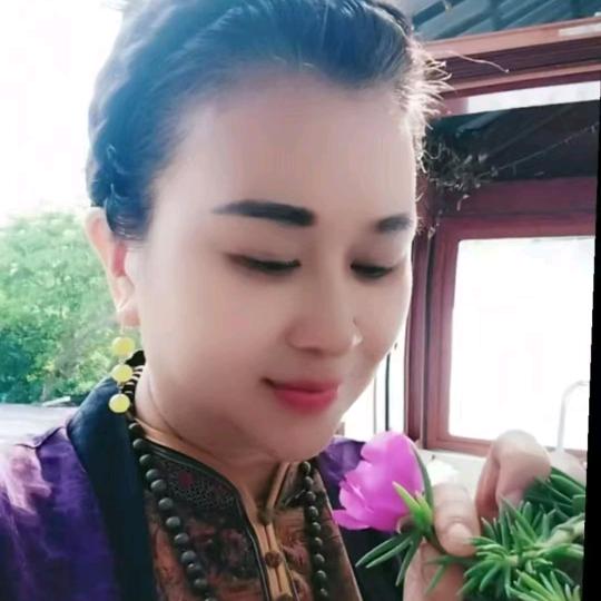 小白杨
