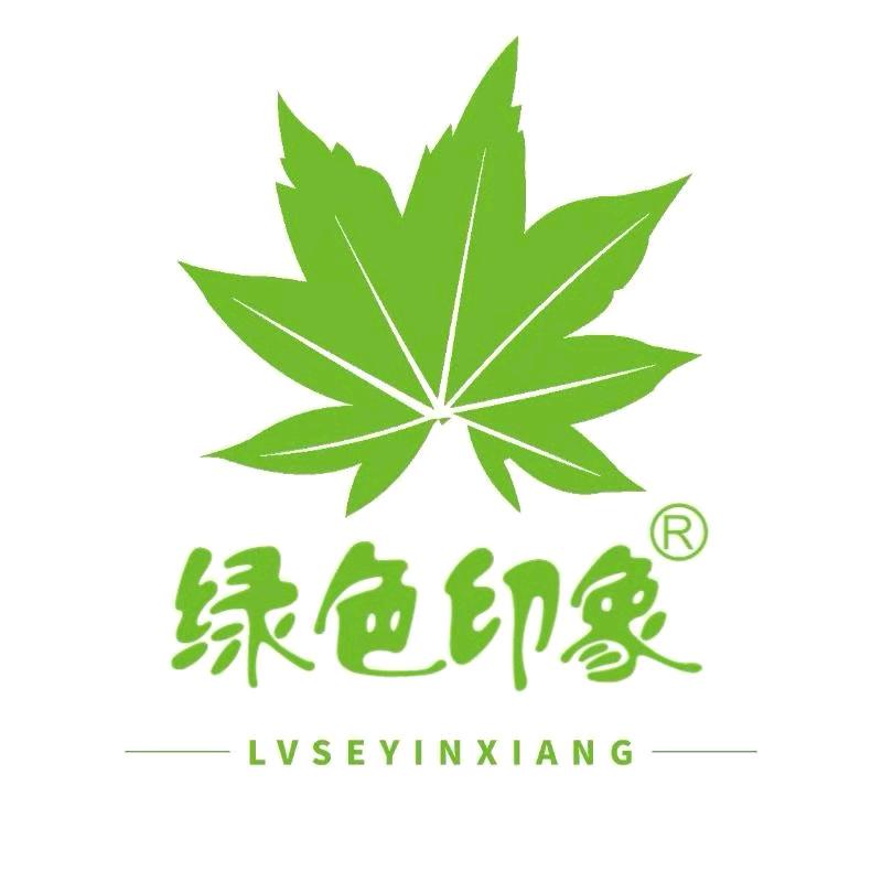 贵州环保袋源头工厂-绿色印象5826