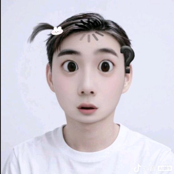 小猫(๑><๑）