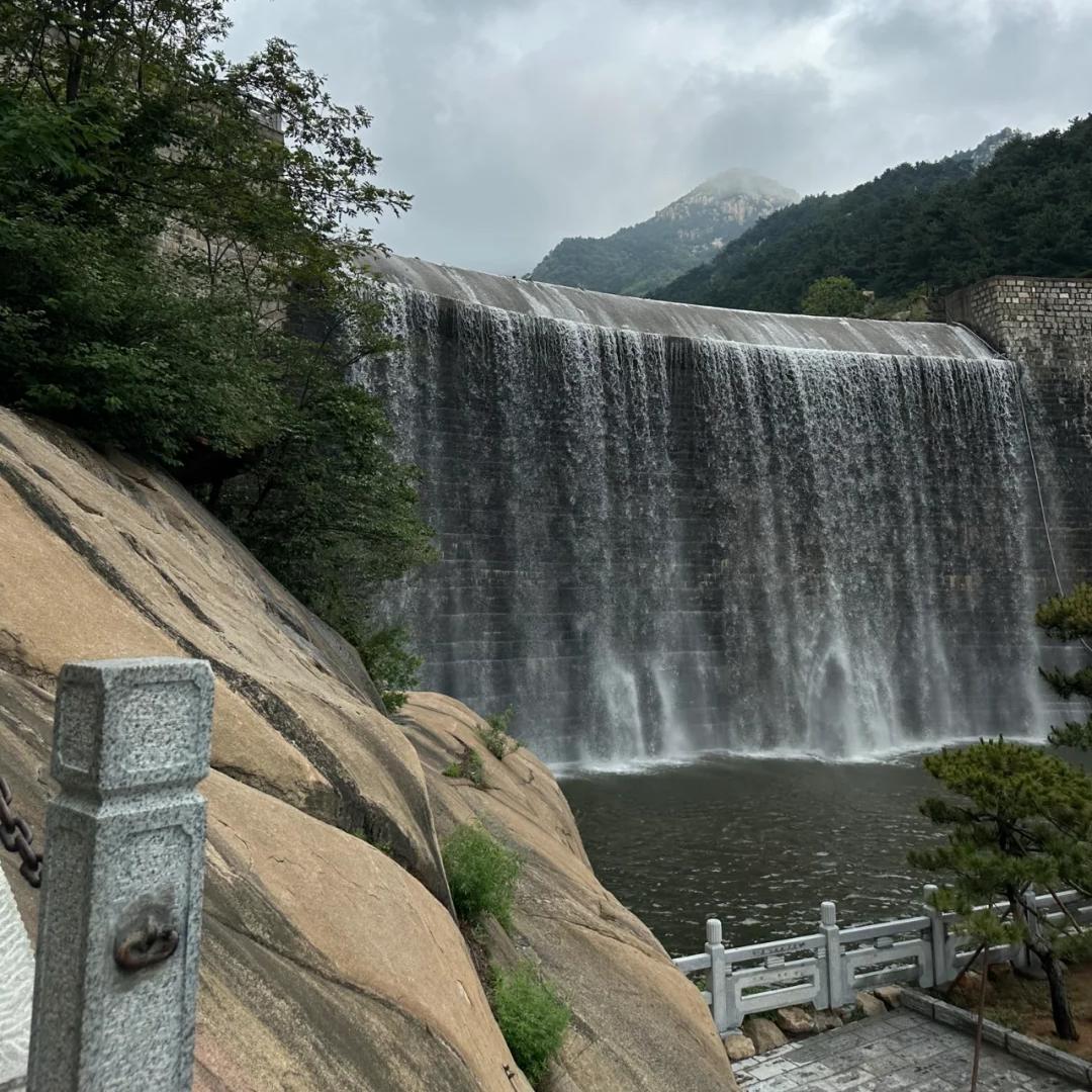 陶妈登妈的日常