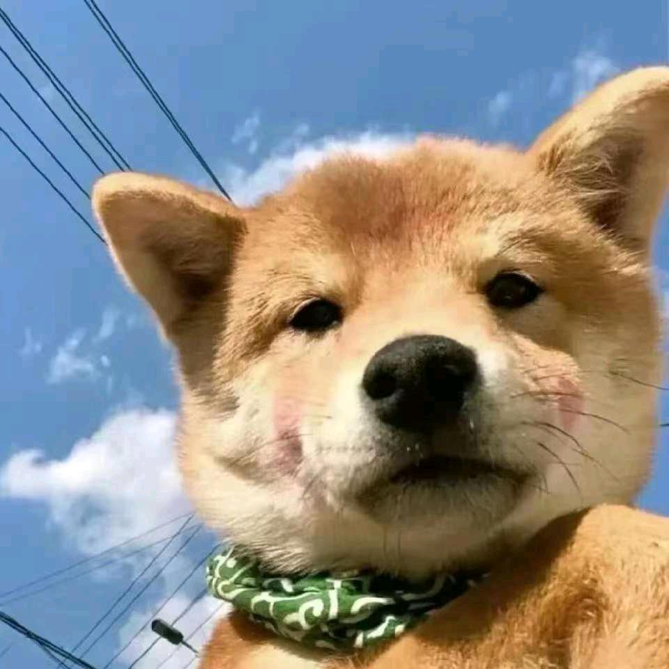 手游㐻蔀浮力-经理