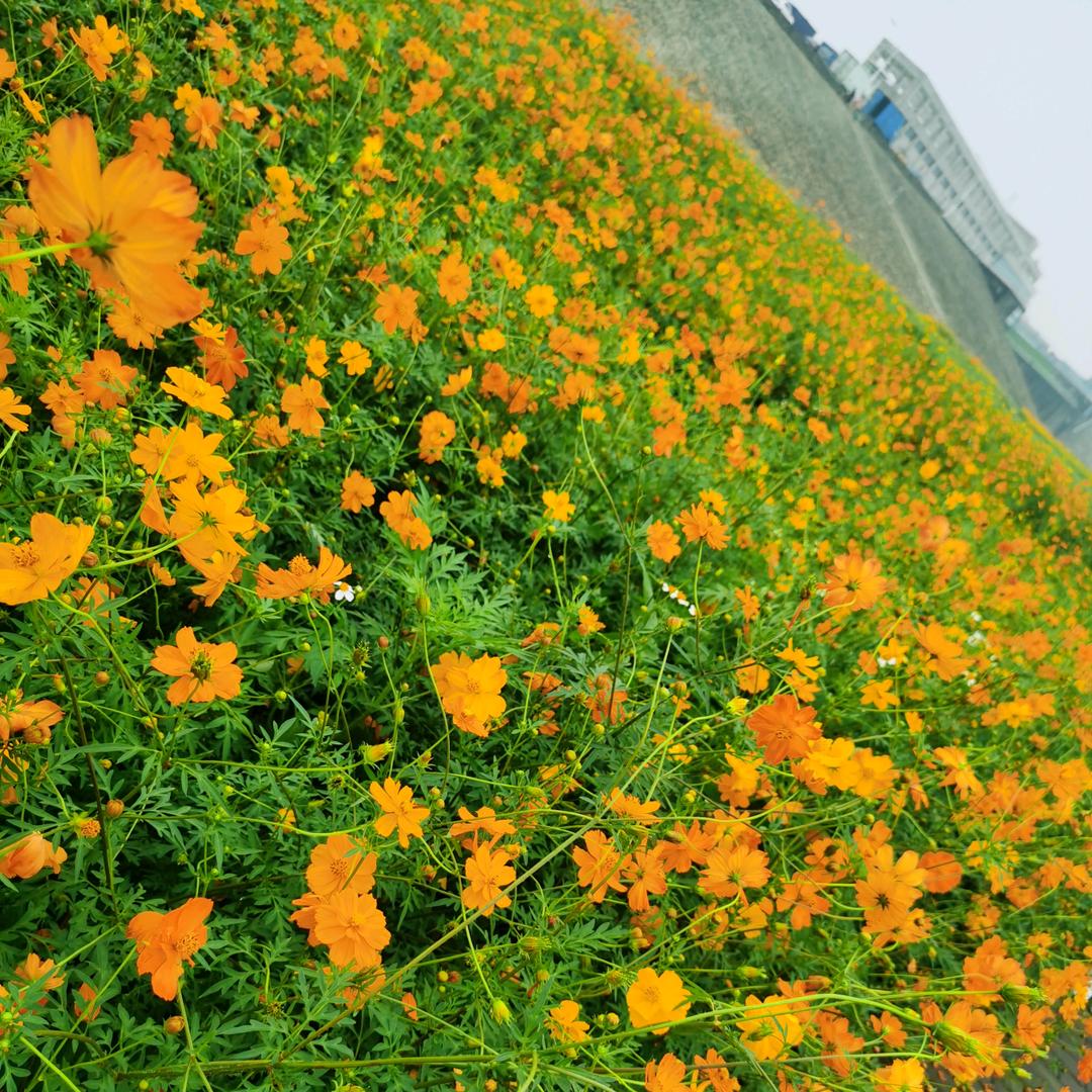 天露山货农产品
