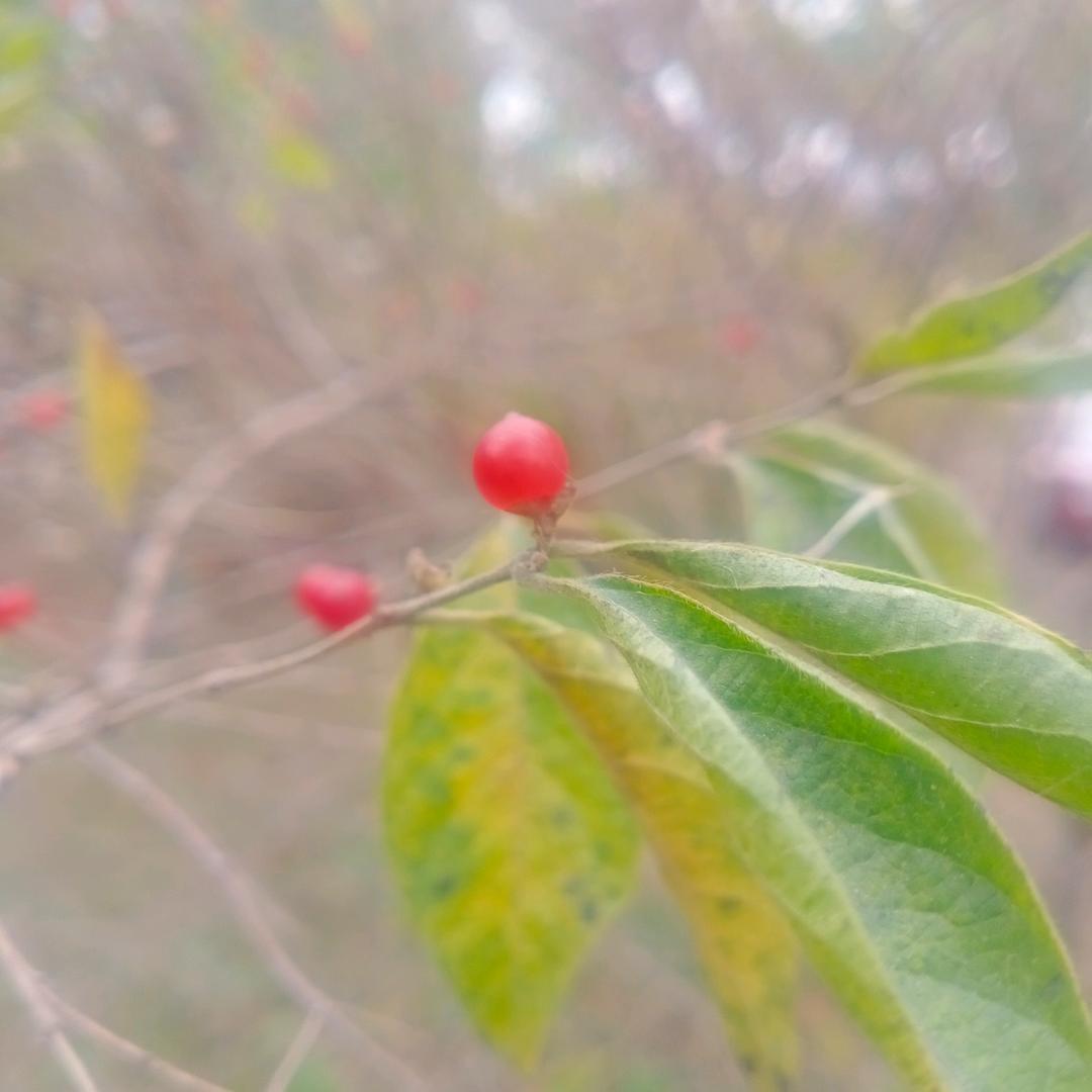 春风拂面