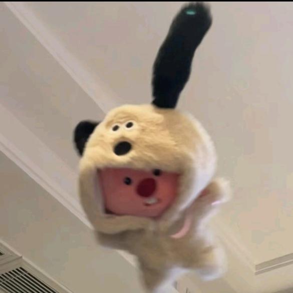 我是螃蟹没有钳钳