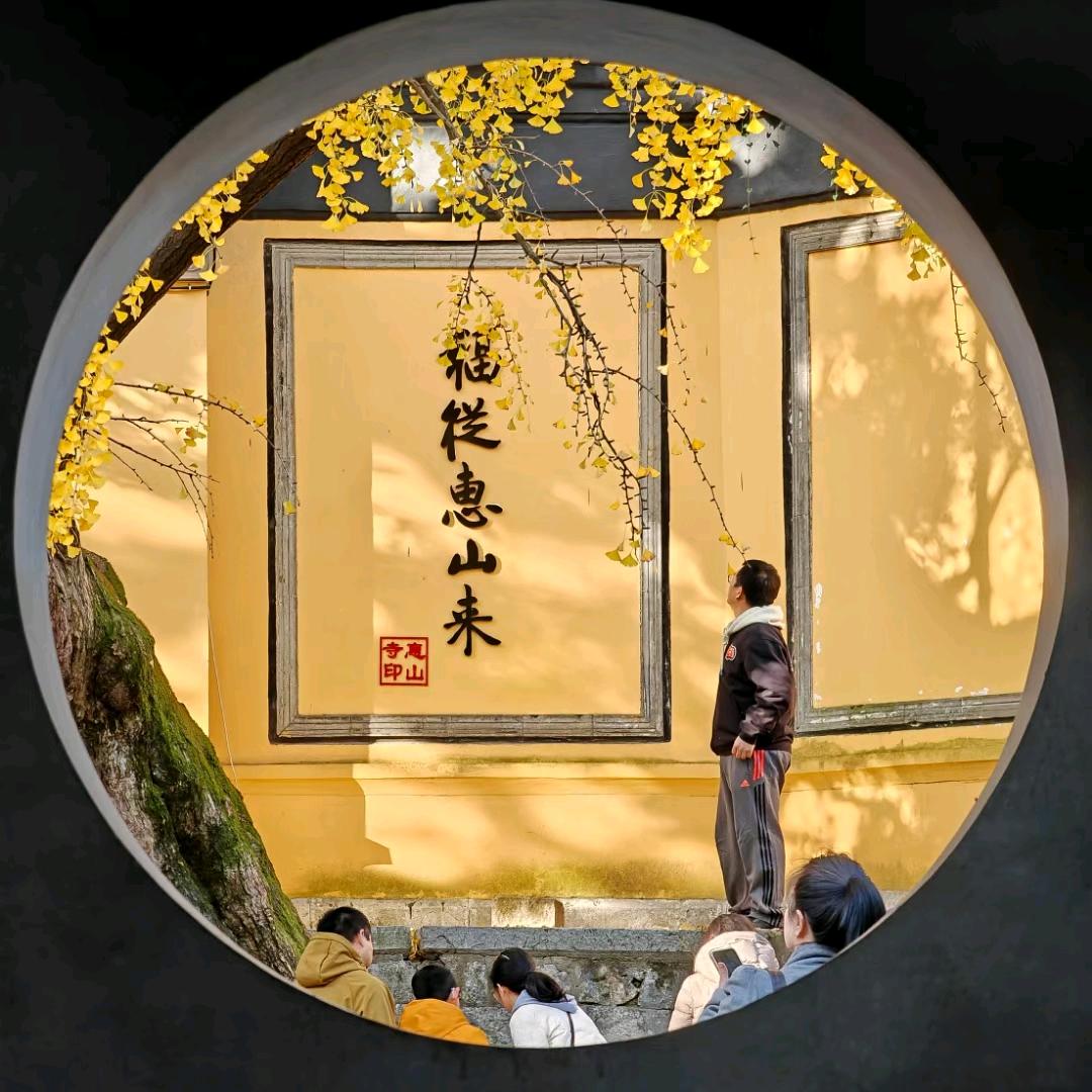 诚实豆沙包