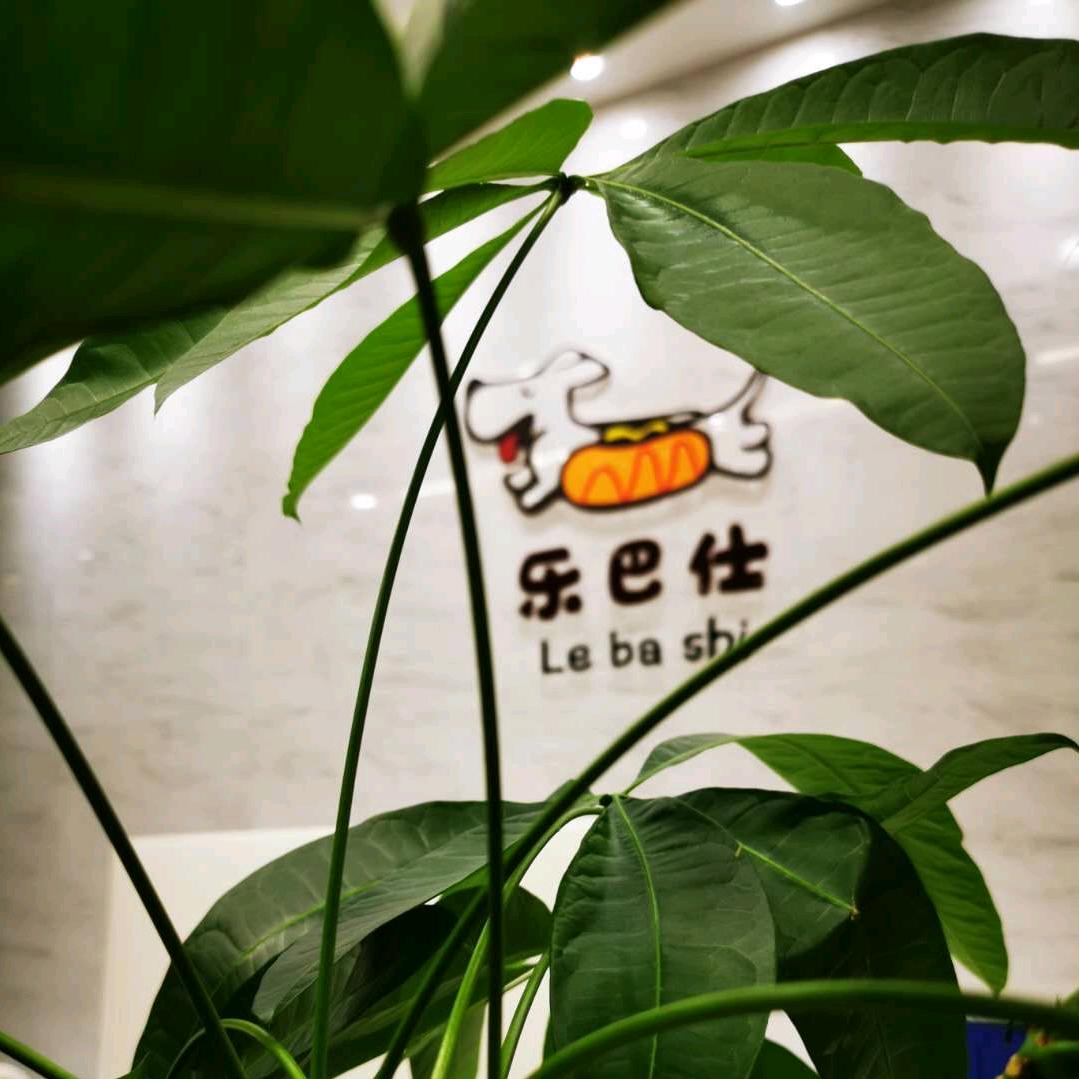乐巴仕