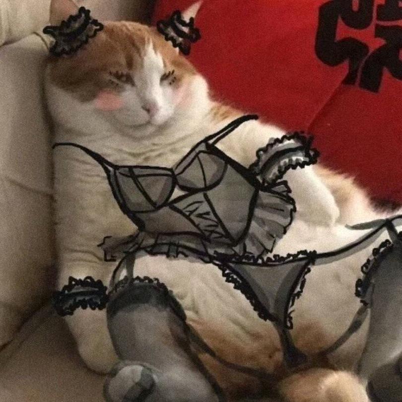 今天的风格外的喧闹