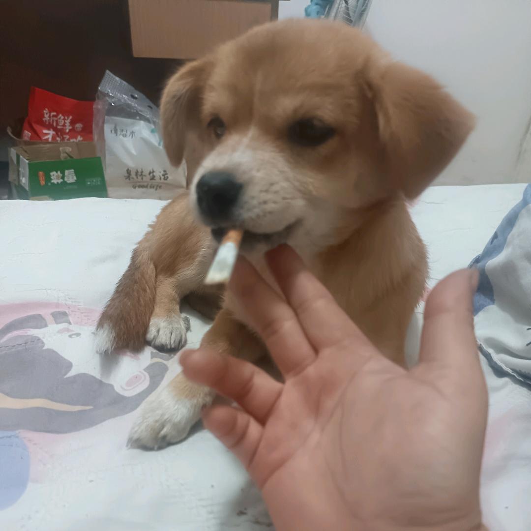 男人的嘴，骗人的鬼