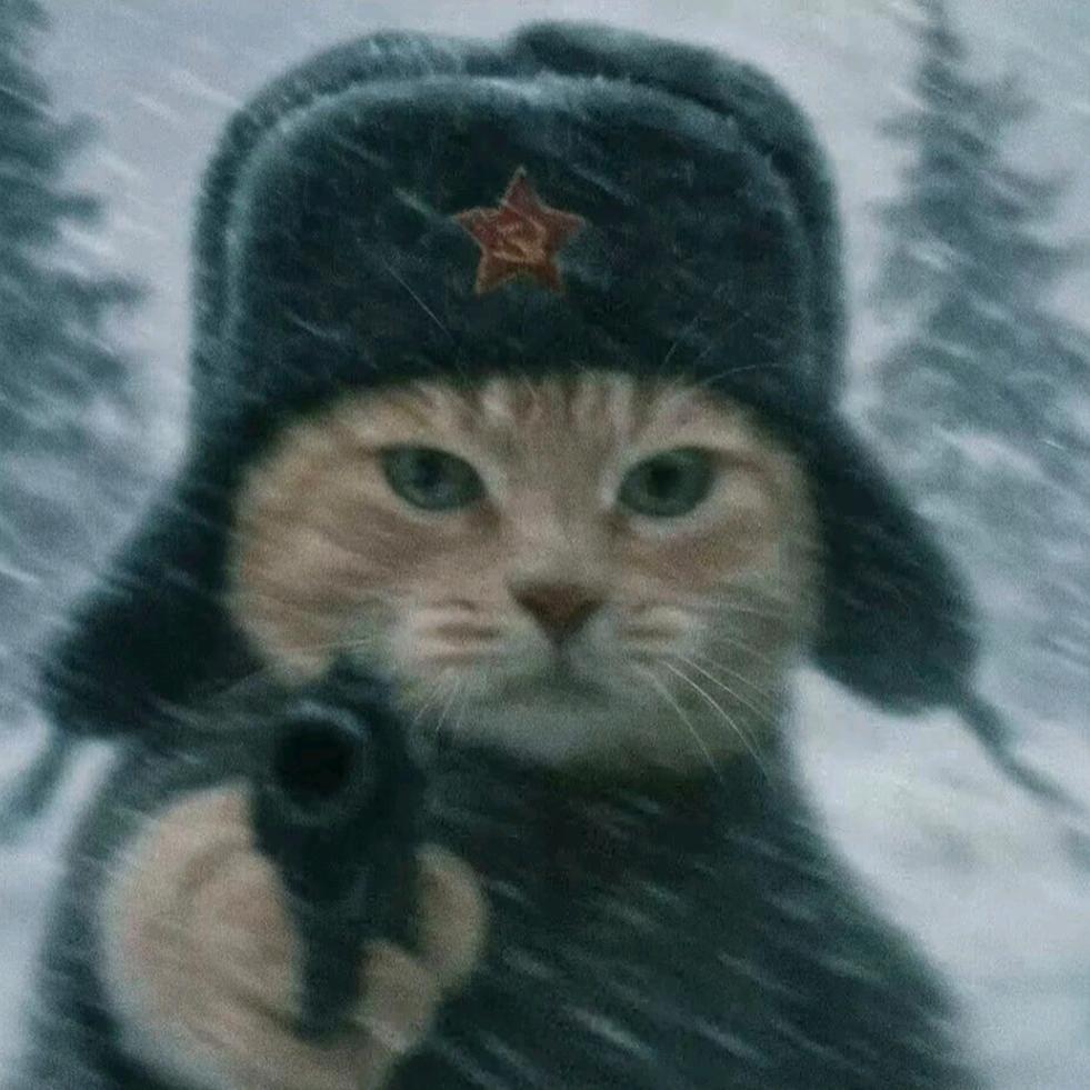 南泥湾